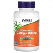 Now Foods Double Strength Ginkgo Biloba 120 mg 100 caps