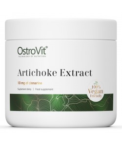 OstroVit Artichoke Extract 100 грам, екстракт артишоку