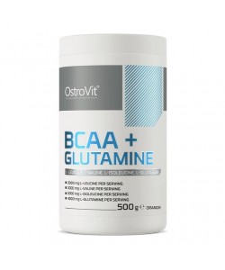 OstroVit BCAA + Glutamine 500 грам, бцаа+глютамін