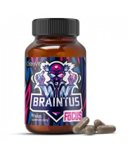 OstroVit Braintus Focus 90 капсул, комплекс активних інгрідієнтів для всебічної підтримки розуму