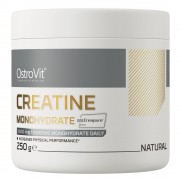 OstroVit Creatine Monohydrate Creapure 250 g Чистий, без смаку