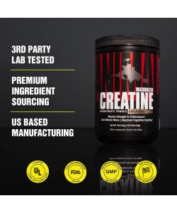 UNIVERSAL Creatine Powder 300 грамм, микронизированный креатин моногидрат