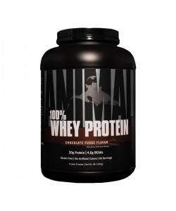 Universal Nutrition Animal 100% Whey Protein Powder 1.81 кг, сывороточный протеин высокого качества